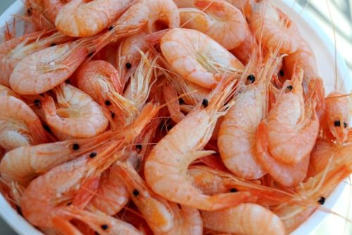 Headless COOKED AND PEELED FROZEN VANNAMEI SHRIMP
