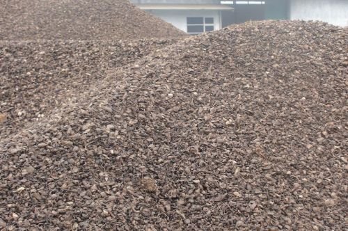 Palm Kernel Shells
