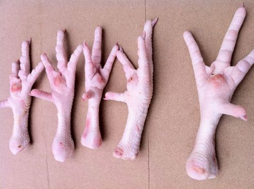 Frozen chicken feet, Packaging Type : Carton Boxes, Poly Bag
