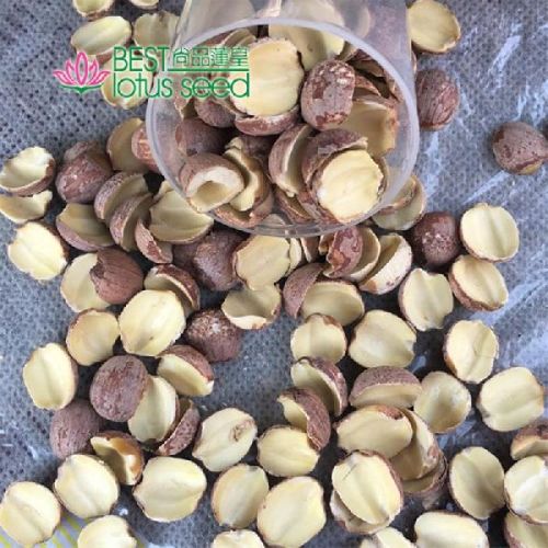 Half Red Lotus Seed Nut Kernel Lotus Extract