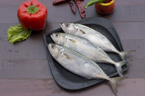 Fresh Mackerel Fish