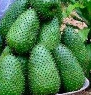 Soursop Fruit, Brand Name : Private, Grade : AAA