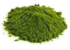 Natural Wheatgrass Powder, Color : Green