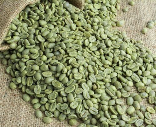Arabica Coffee, Shelf Life : 1 Year