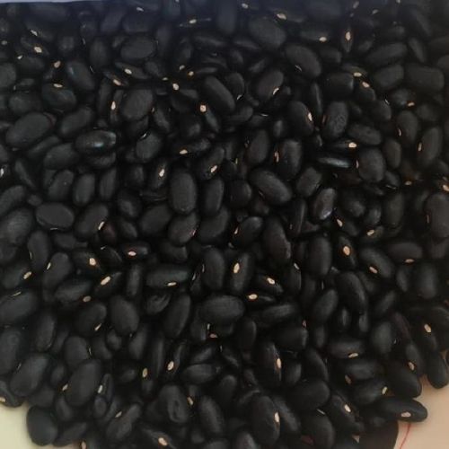 Black Kidney Bean