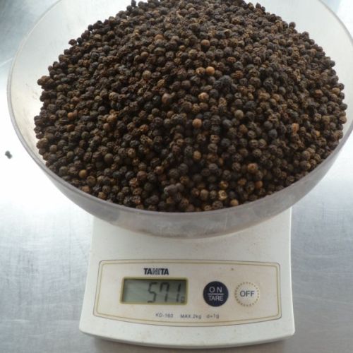 Black pepper, Shelf Life : 1 Year
