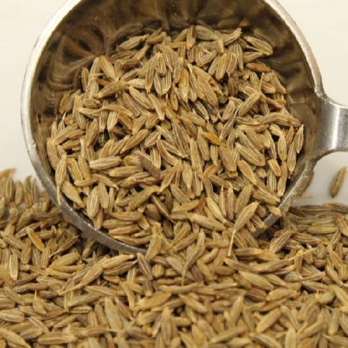 Cumin seed