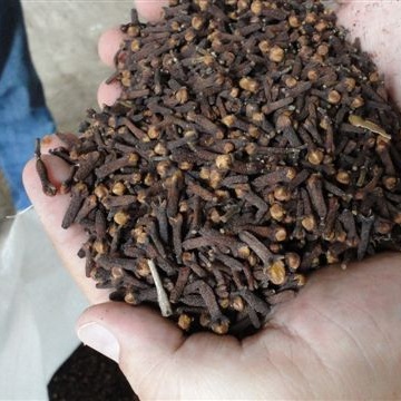 Common cloves, Packaging Type : Brown, Form : Dried