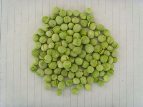 Dried Green Peas, Packaging Size : 20kg, 250gm