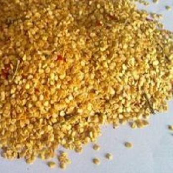 Dry Red Chilli Seeds, Packaging Type : Grey, Purity : 99.9%