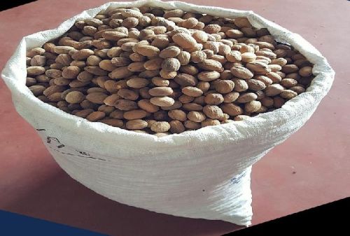 GMO nutmeg, Shape : Round, Packaging Type : Brown, Purity : 100%