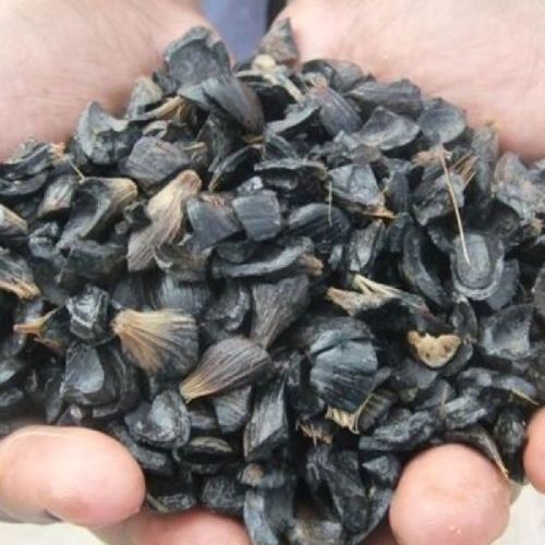 Palm Kernel Shell, Packaging Type : Pp Bag