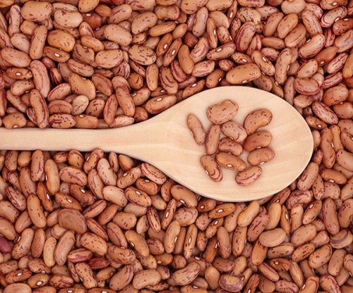 Pinto Kidney Beans