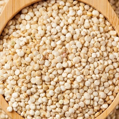 Quinoa grain