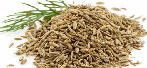Cumin Seeds, For Cooking