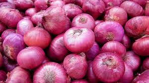 Fresh Red Onion, Packaging Type : Jute Bag