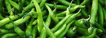 Green chilli, Variety : G4