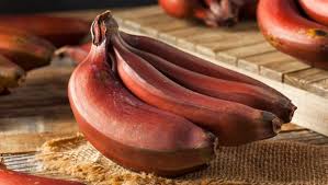 Fresh Red Banana