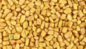 Organic fenugreek seeds