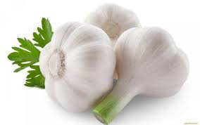 Common Fresh Garlic, For Cooking, Feature : Gluten Free, Moisture Proof