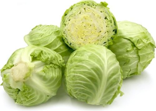 Round Organic Fresh Cabbage