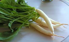 Fresh Radish, Color : White