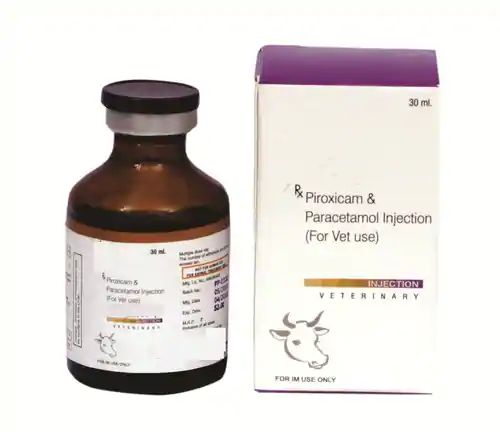 Veterinary Piroxicam & Paracetamol Injection