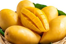 Organic Fresh Mango, Packaging Size : 10-20kg, 20-30kg