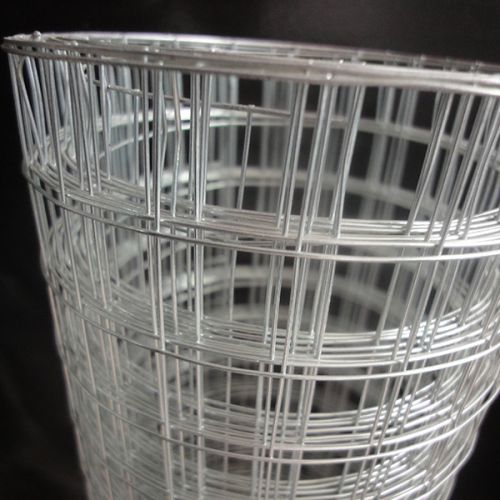 Galvanized Welded Wire Mesh, Brand Name : Yunchong