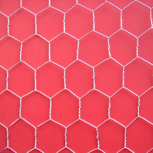 Stainless Steel Hexagonal Wire Netting, Brand Name : Yunchong