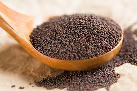 Mustard seeds for Oil Spices