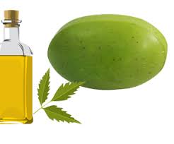 Herbal Pure Neem Soap, Packaging Type : Plastic Container, Plastic Wrapper