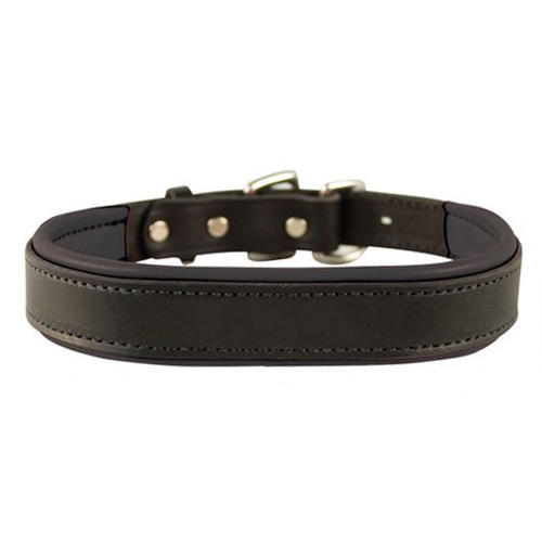 Alloy Leather Dog Collor