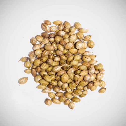 Organic Coriander Seeds, For Cooking, Packaging Type : Jute Bags, Plastic Packets