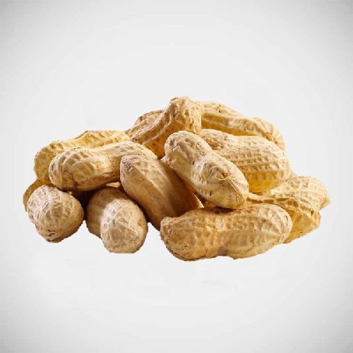 Shelled Peanuts, For Home, Restaurant, Packaging Type : Jute Bag, Plastic Packets