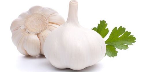 Organic Fresh Garlic, For Cooking, Style : Solid