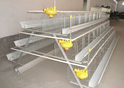 Chicken Cage
