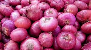 Fresh Onion, Packaging Size : 10kg, 20, 25kg, 5kg
