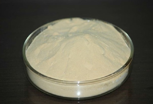 Zinc Solubilizing Bacteria Biofertilizer, Purity : 100% Organic