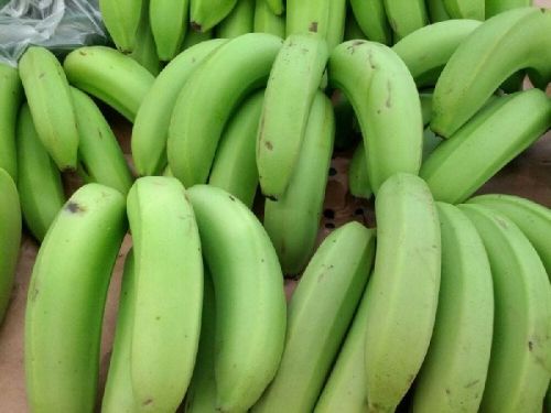 Common Banana, Packaging Type : Green