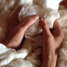 Raw Cotton, Feature : Anti-Bacteria