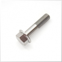 Hex Flange Bolt