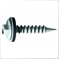 Roofing Screw