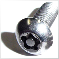 Security Screw