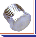 Duplex Steel Threaded Hexagonal Plugs