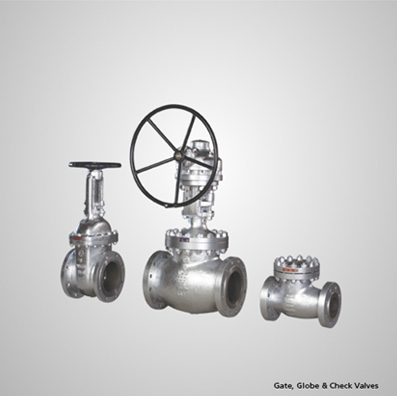 Bolted Bonnet CHECK VALVE