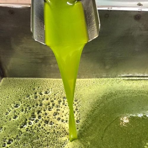 Crude Cold Pressed Olive Oil, Dosage Form : Liquid for Cooking