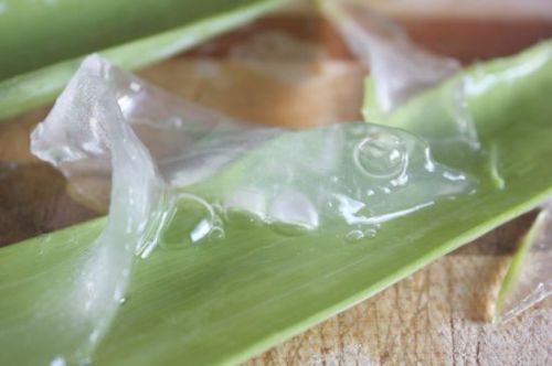Aloe Vera Pulp, For Parlour, Personal, Color : Transparent