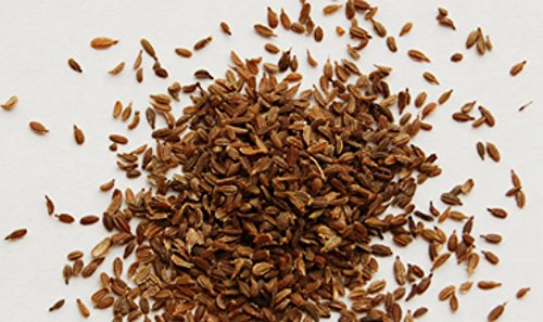 Organic Carrot Seeds