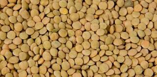 Organic Green Lentils, Certification : FSSAI